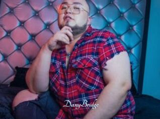 DanyBridge