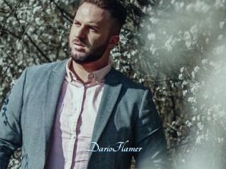 DarioFlamer
