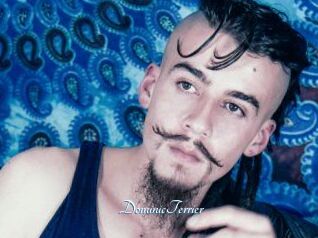 DominicTerrier