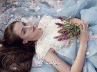 DreamSleep