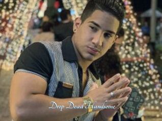 Drop_Dead_Handsome