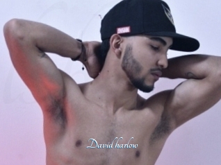 David_harlow