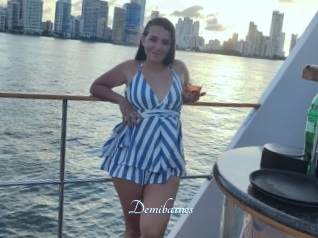 Demibarnes