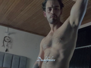 Dudefoxlive