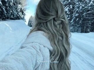 Ernalla_Cross