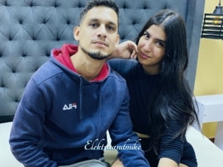 Elektraandmike