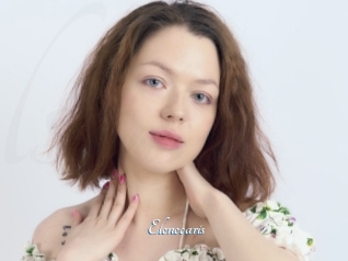 Elenecaris