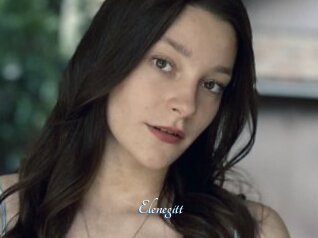 Elenegitt