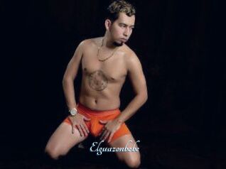 Elguazonbebe