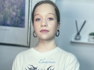 Ellettebuss