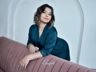 Elsapitt
