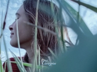 Elvagrise