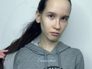 Elvinaabner