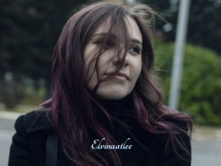 Elvinaatlee