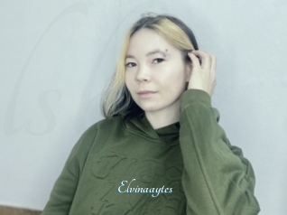 Elvinaaytes