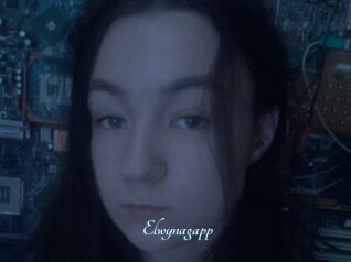 Elwynagapp