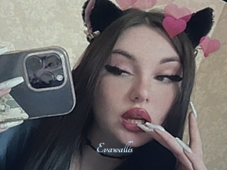 Evawallis