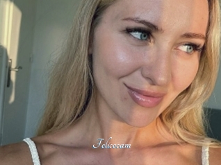 Felicecam