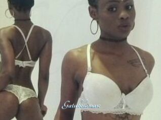 Gatubela_masc