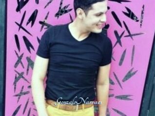 GonzaloNarvaes