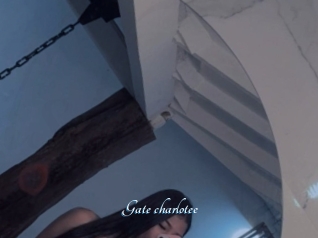Gate_charlotee
