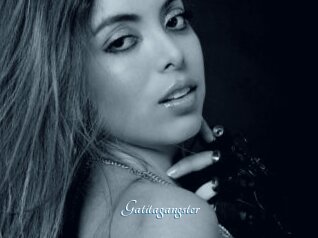 Gatitagangster