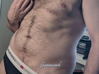 Gattorcatnb
