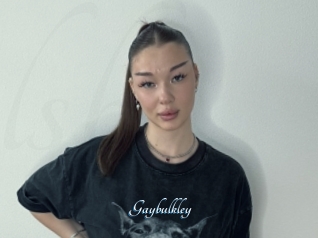 Gaybulkley