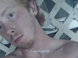 Gingerboy9695