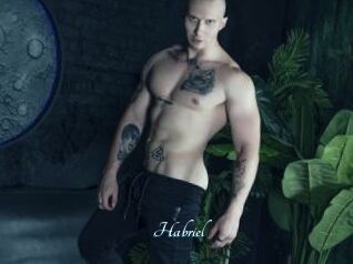 Habriel
