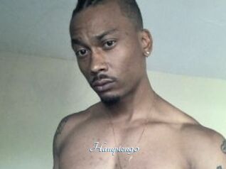 Hampton90
