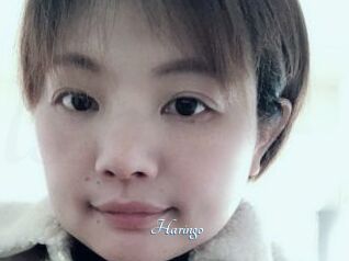 Haringo