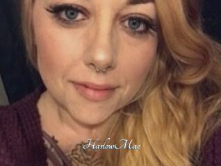 Harlow_Mae