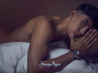 HarryBigxx