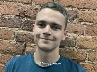 Harry_Gitten