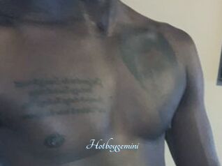 Hotboygemini