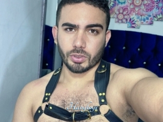 Hairyboyx