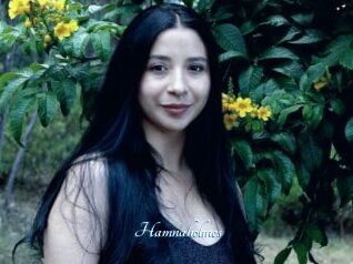 Hamnaholmes