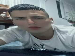 Harrydubois