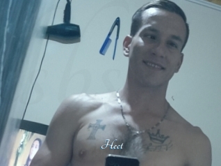 Hect