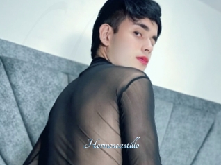 Hermescastillo