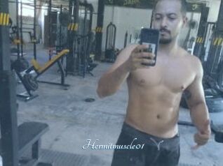 Hermitmuscle01