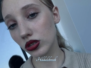 Hildalsbrook
