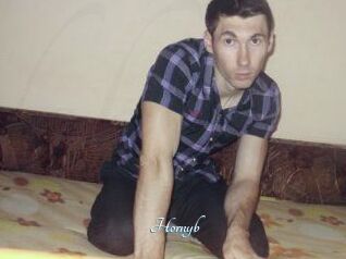 Hornyb