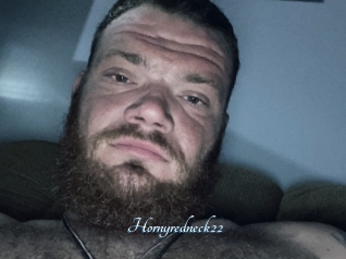 Hornyredneck22