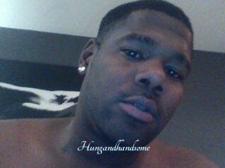 Hungandhandsome