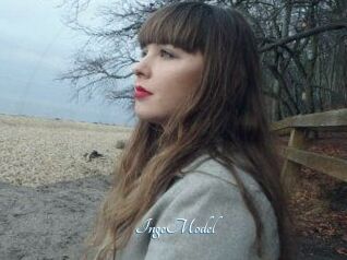 IngeModel