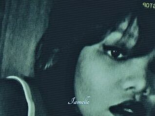 Iamelle