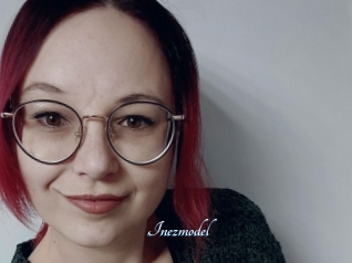 Inezmodel
