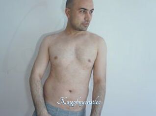 Kingofmycastlee